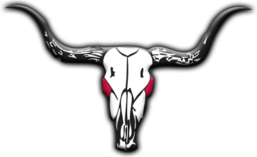Longhorn PNG, Longhorn Transparent Background - FreeIconsPNG