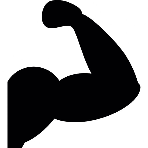 Muscle PNG Image, Free Download Muscles Pictures - Free Transparent PNG  Logos