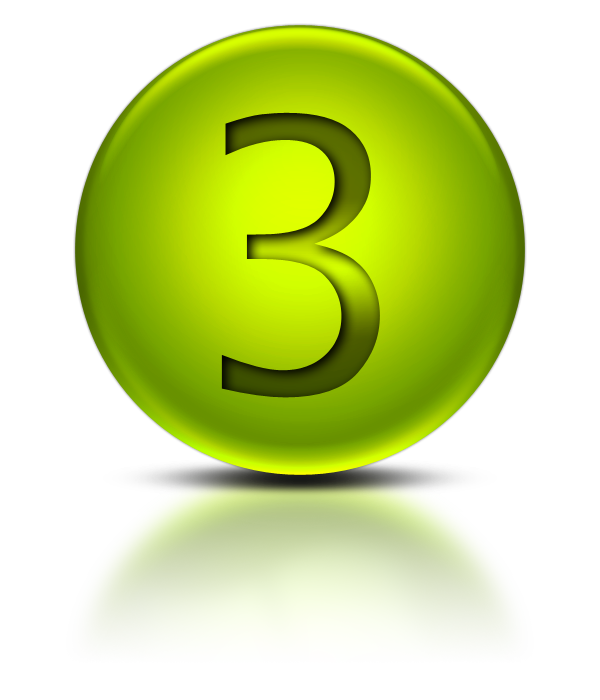 Number 3 Icon