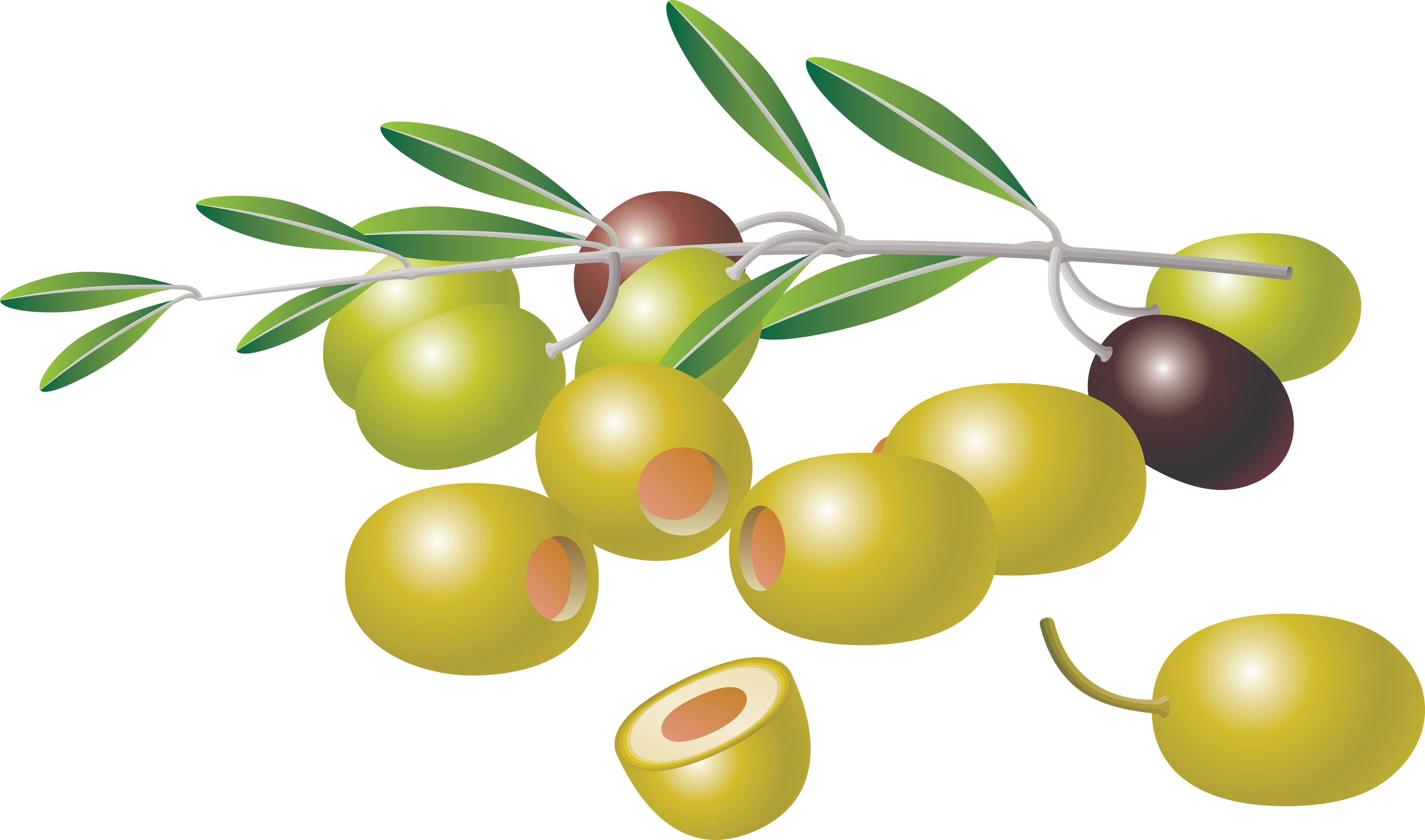 Маслины Пнг