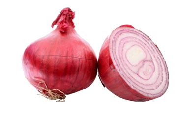 Best Free Onion Image PNG Transparent Background, Free Download #38760