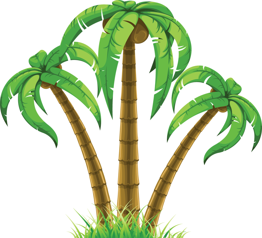 Palm Tree PNG, Palm Tree Transparent Background - FreeIconsPNG