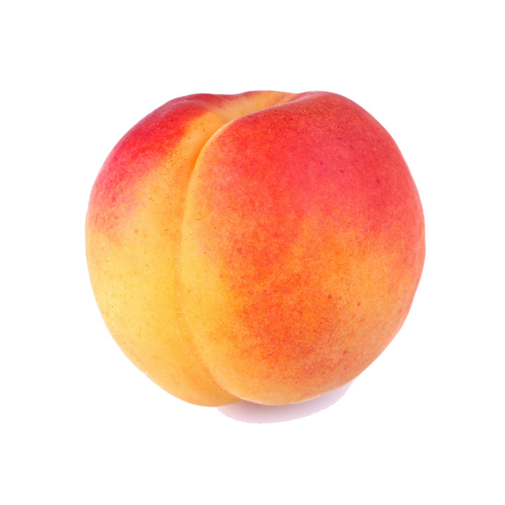 Peach Clipart PNG Transparent Background, Free Download #41686 - FreeIconsPNG