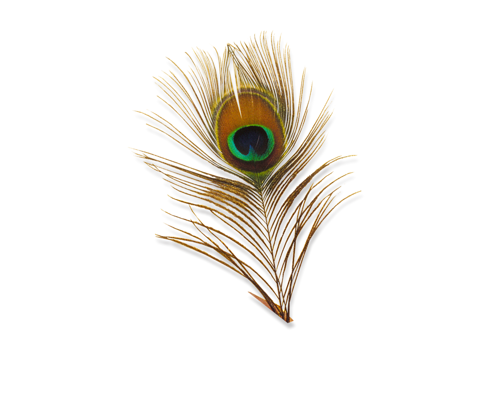 Get Full Hd Png Backgrounds Images