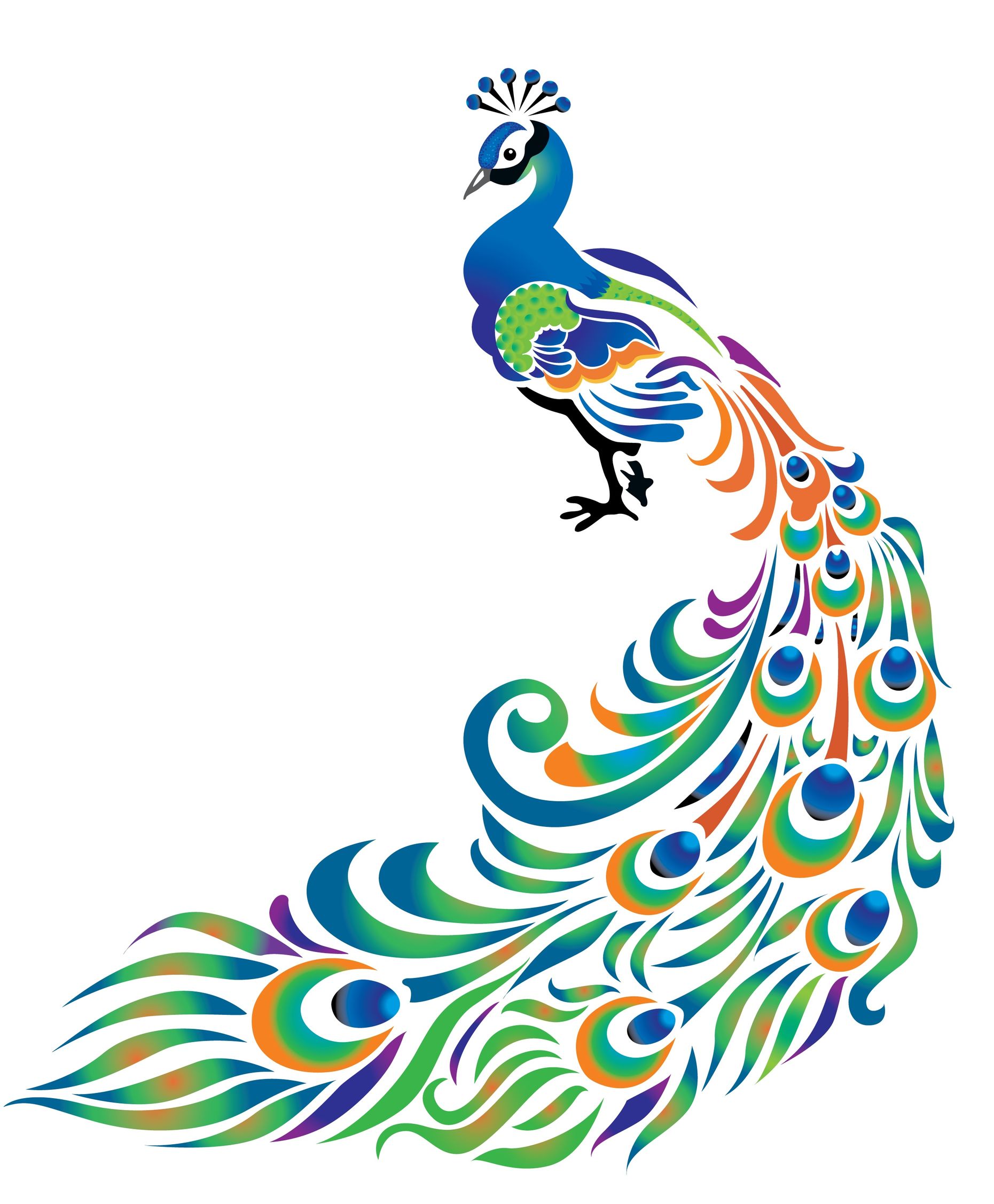 Peacock PNG, Peacock Transparent Background FreeIconsPNG