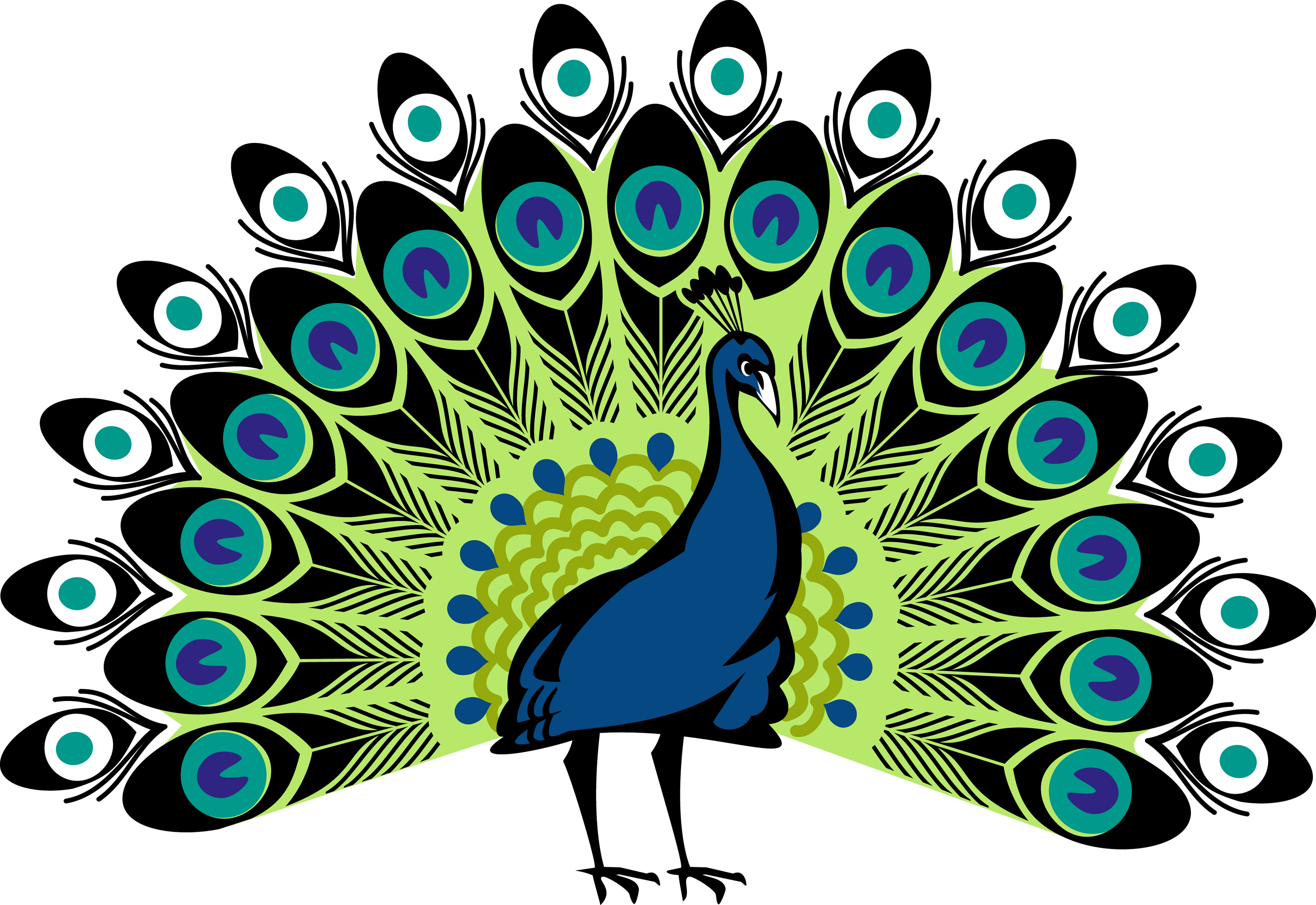 Format Images Of Peacock PNG Transparent Background, Free Download #22906 -  FreeIconsPNG