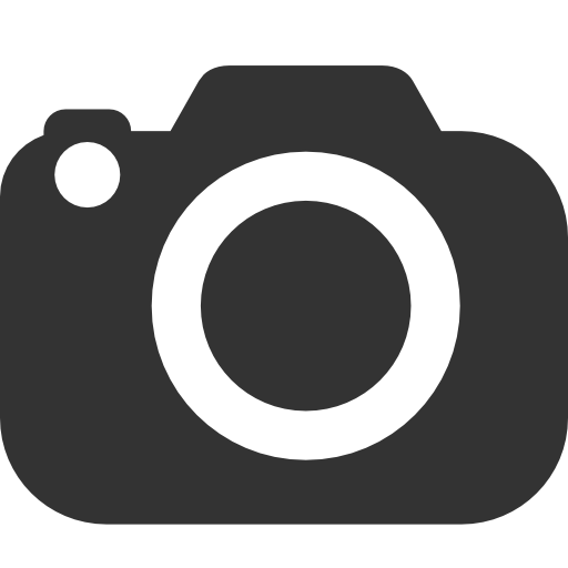 Photo Video camera black icon