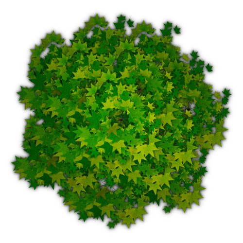 Photoshop Tree Top View Png