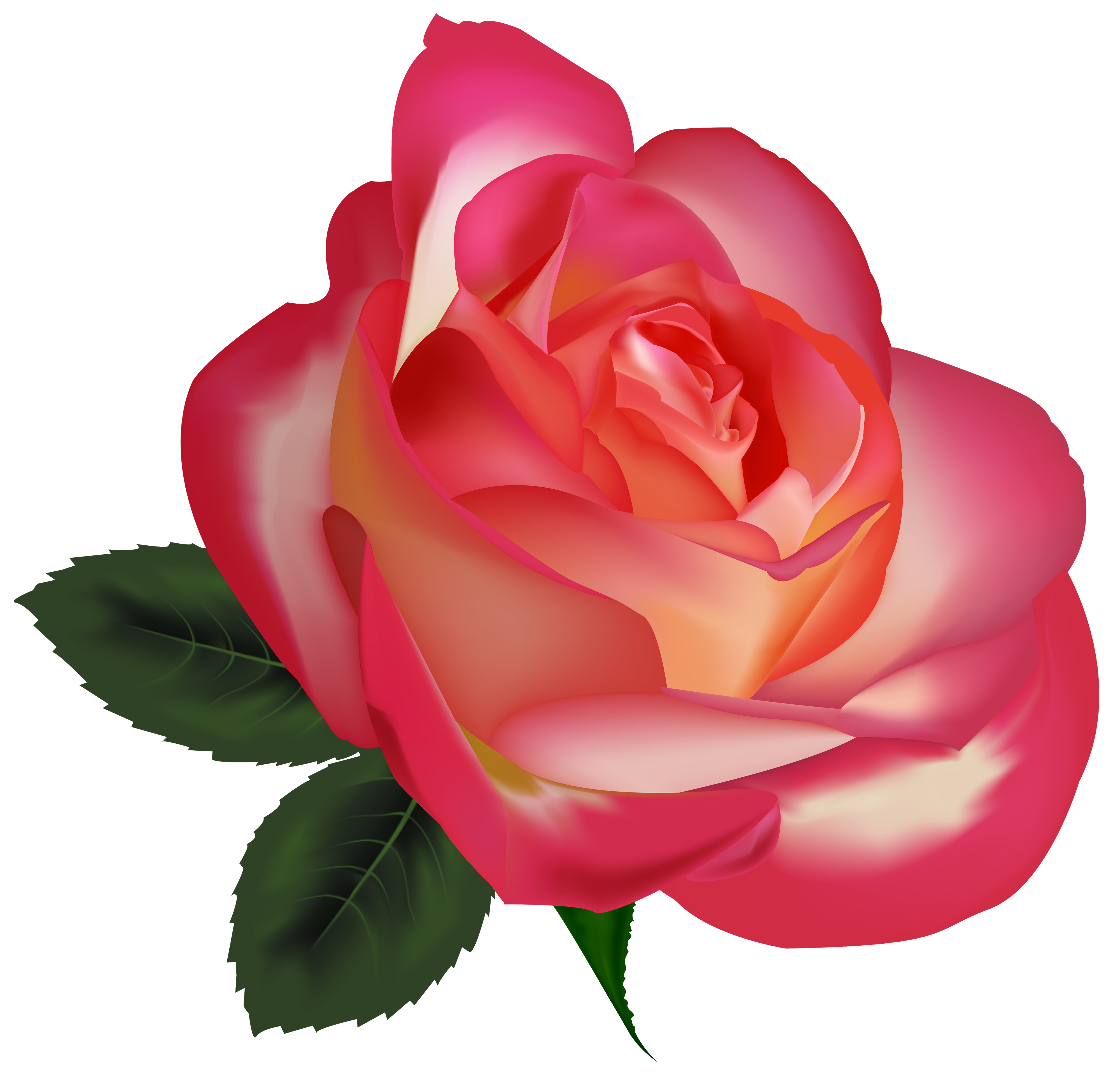 27+ Transparent Background White Rose Bouquet Png Background