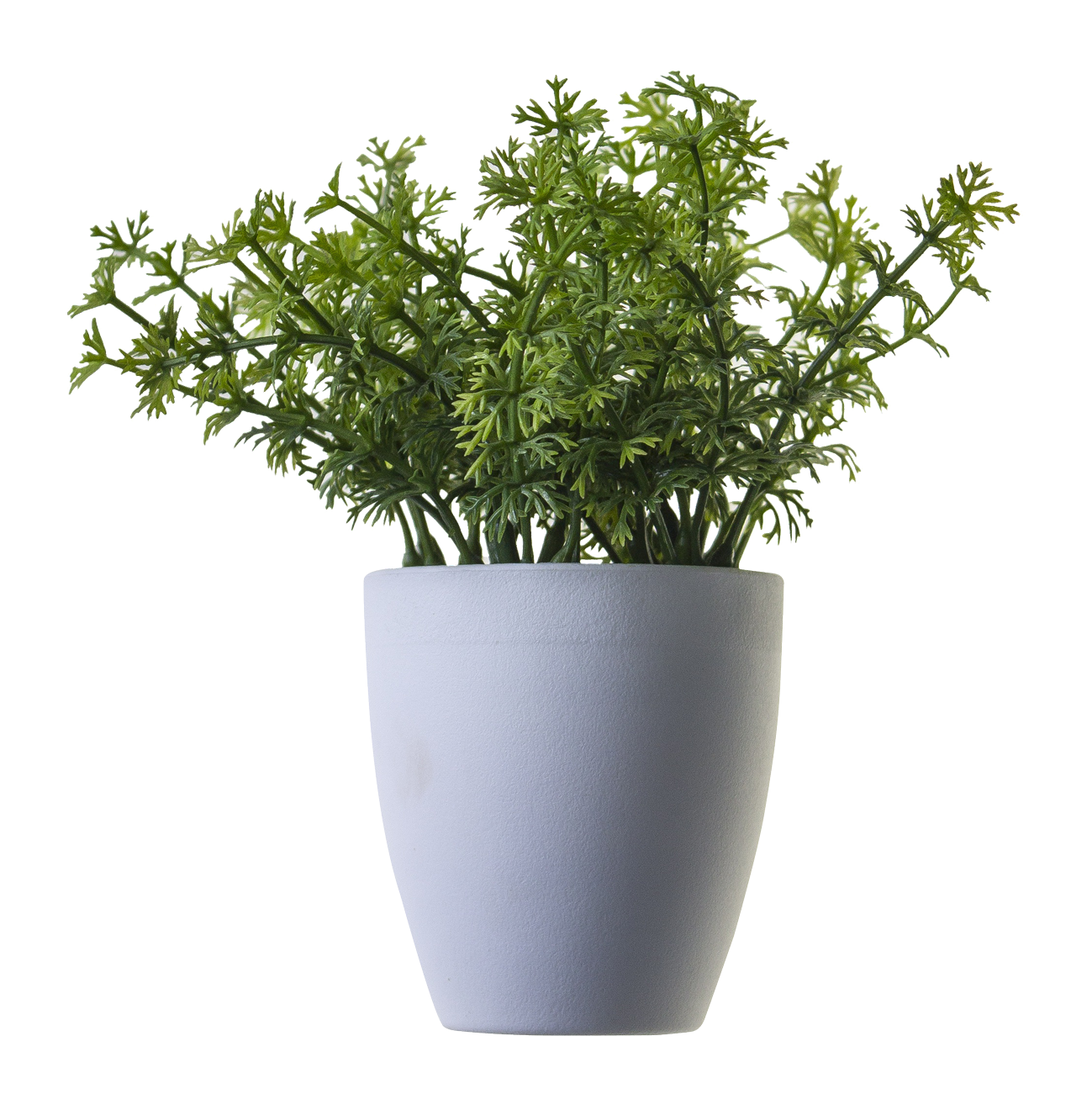 Plant png image, potted flower #44904 - Free Icons and PNG Backgrounds