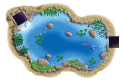 High Resolution Pond Png Clipart