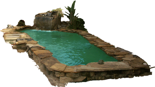 pond png 17