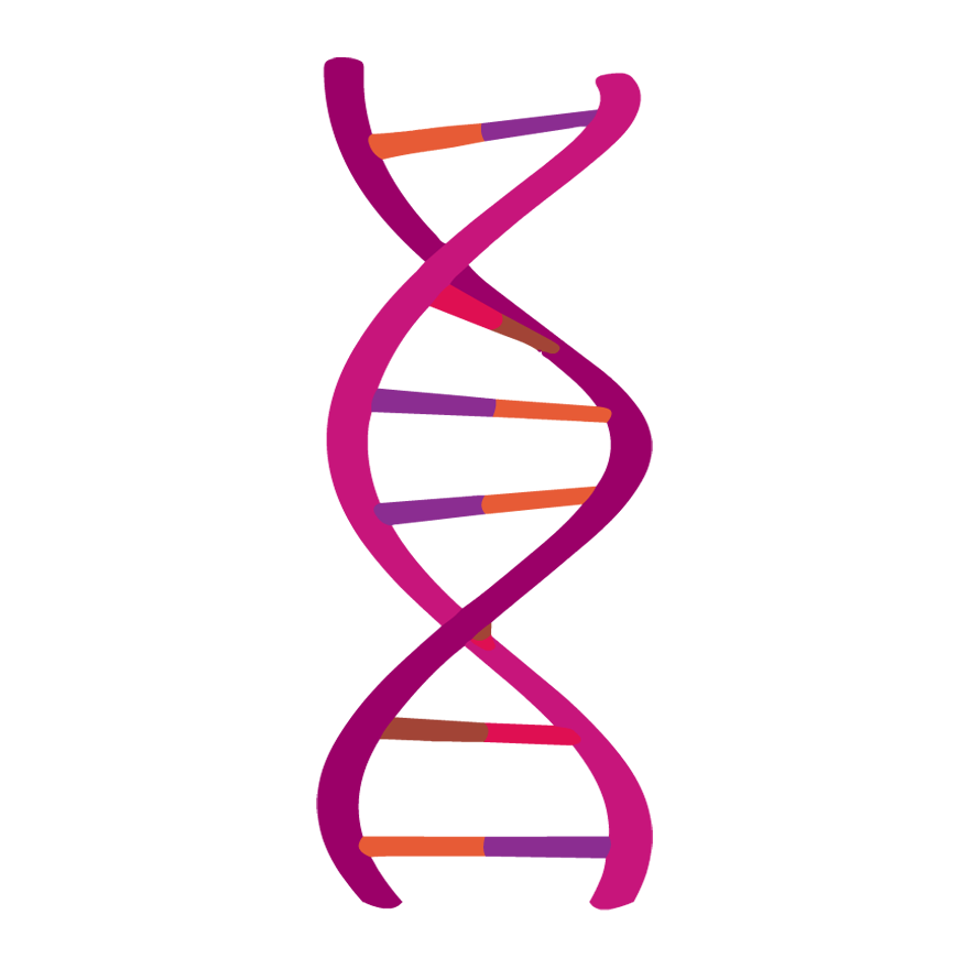 Dna PNG, Dna Transparent Background FreeIconsPNG