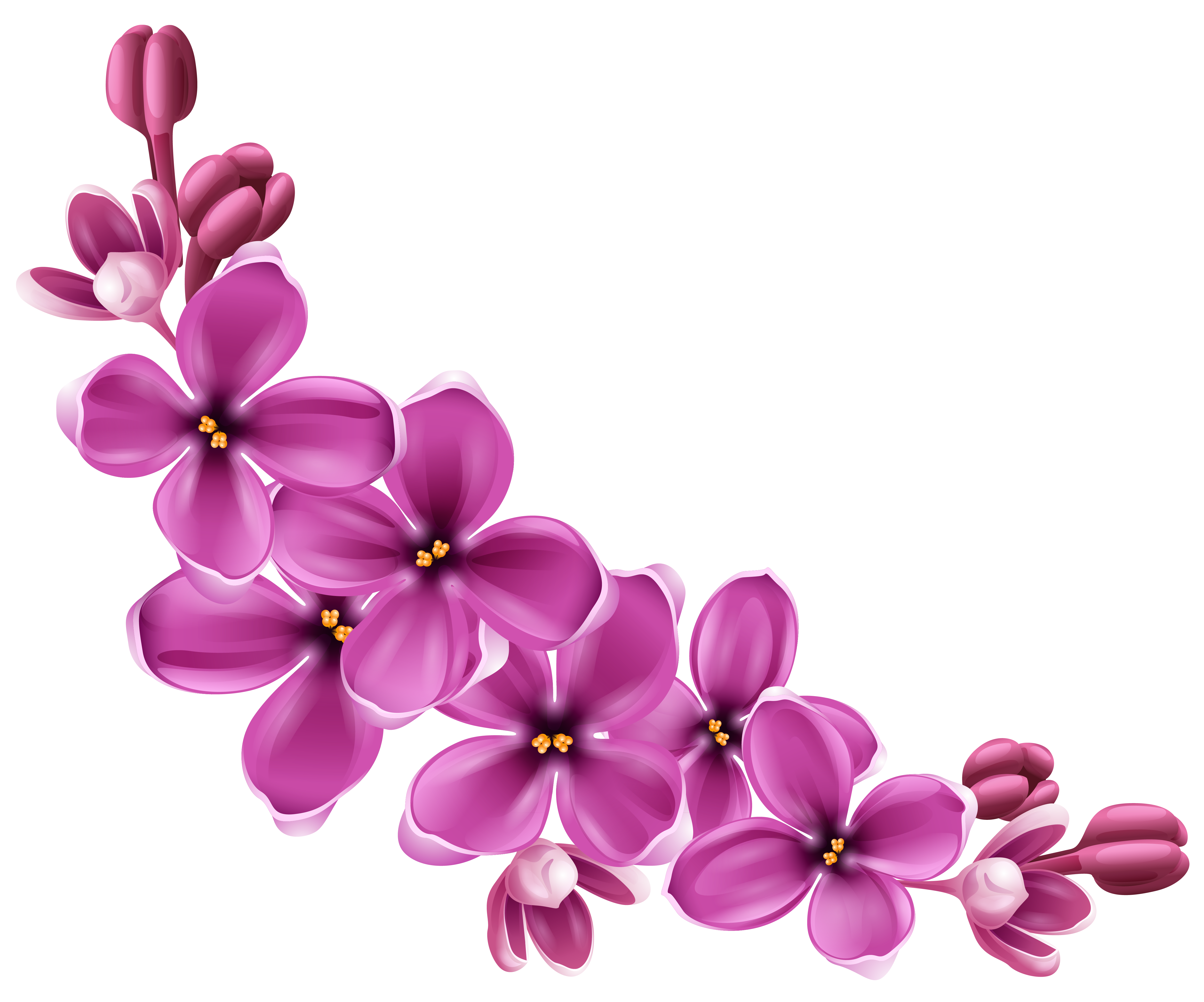 spring flower clipart png