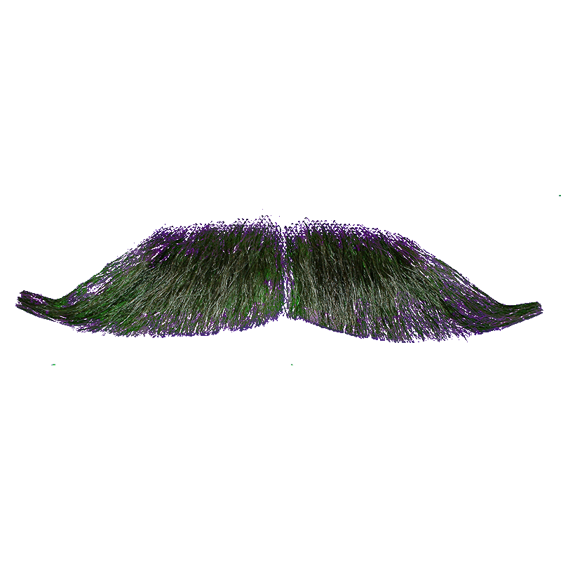 Real Mustache PNG Transparent Background, Free Download #1330