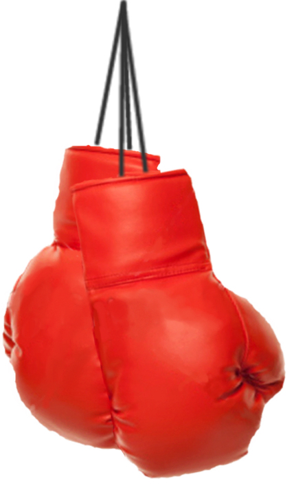 Browse And Download Boxing Pictures PNG Transparent Background, Free