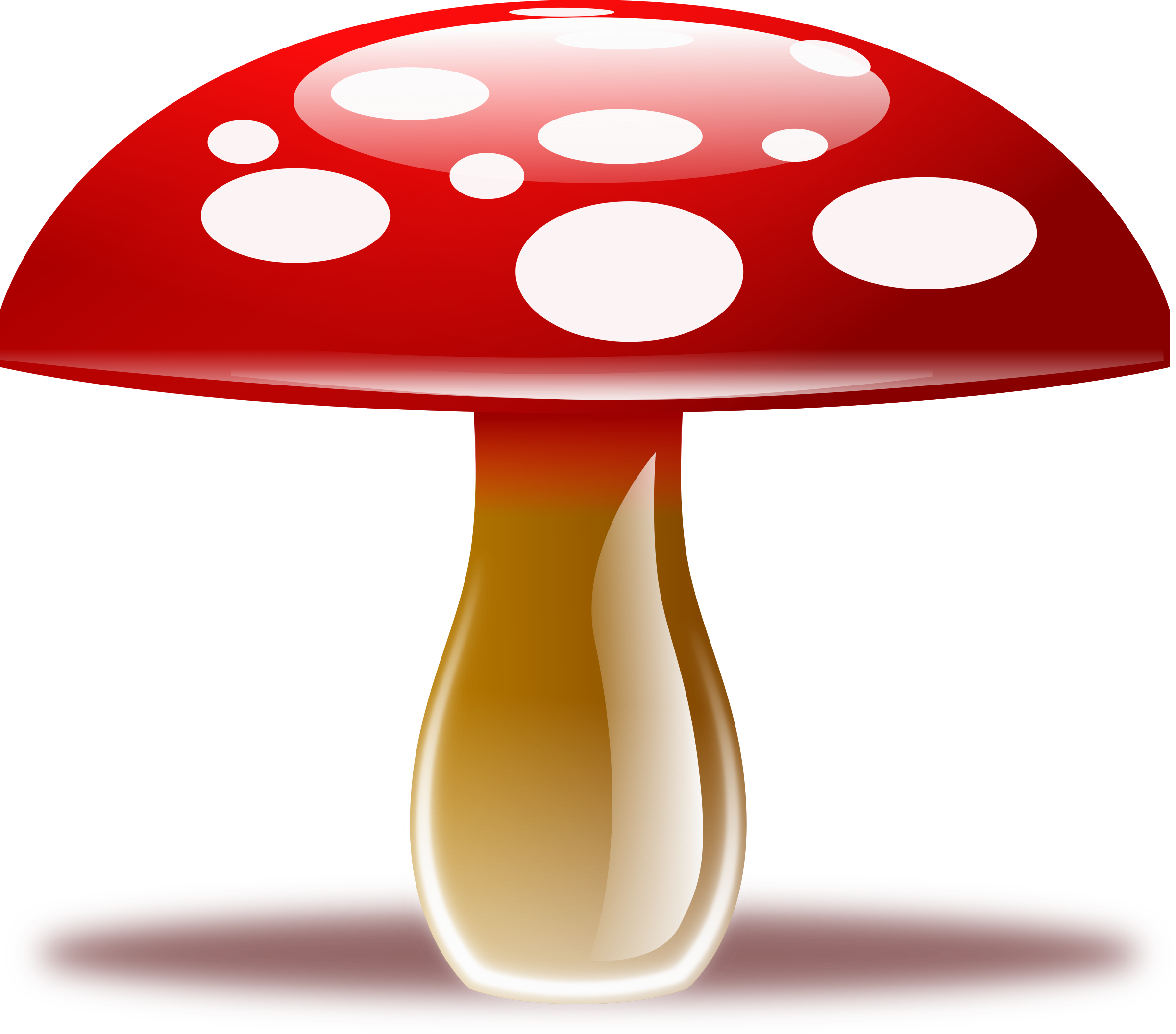 Mushroom Transparent PNG Pictures - Free Icons and PNG Backgrounds