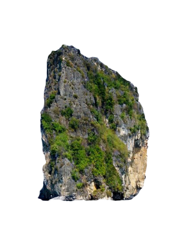 rock with moss transparent background pic