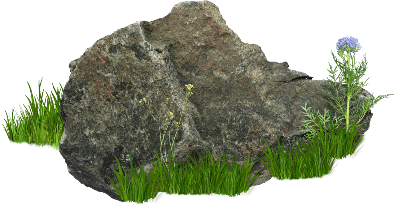 Rocks With Grass And Flower PNG Transparent Background, Free Download