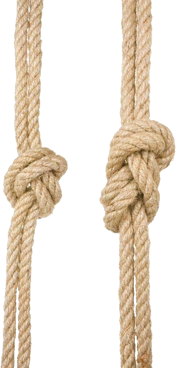 Rope Knot PNG Transparent Background, Free Download #45166 - FreeIconsPNG