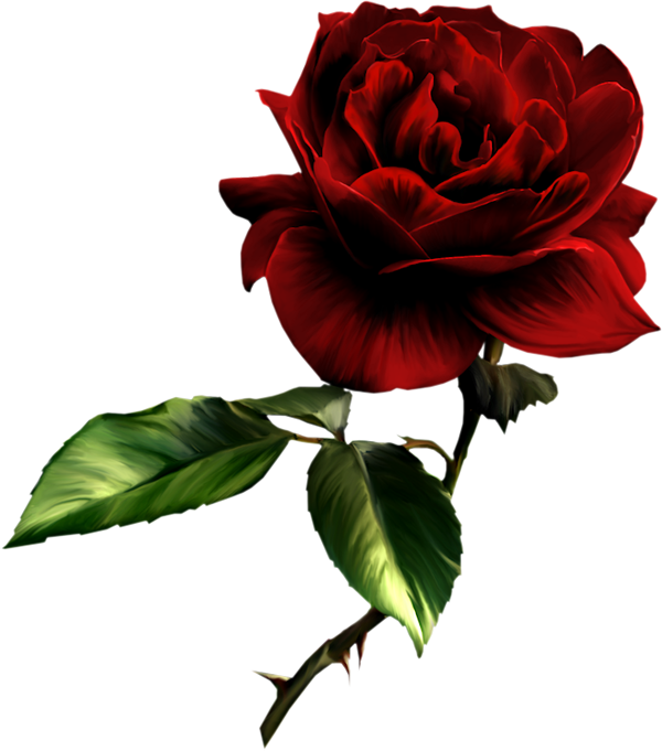 My Image 42