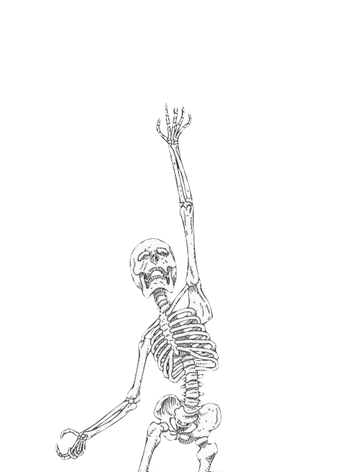 Skeleton Icon, Transparent Skeleton.PNG Images & Vector - FreeIconsPNG