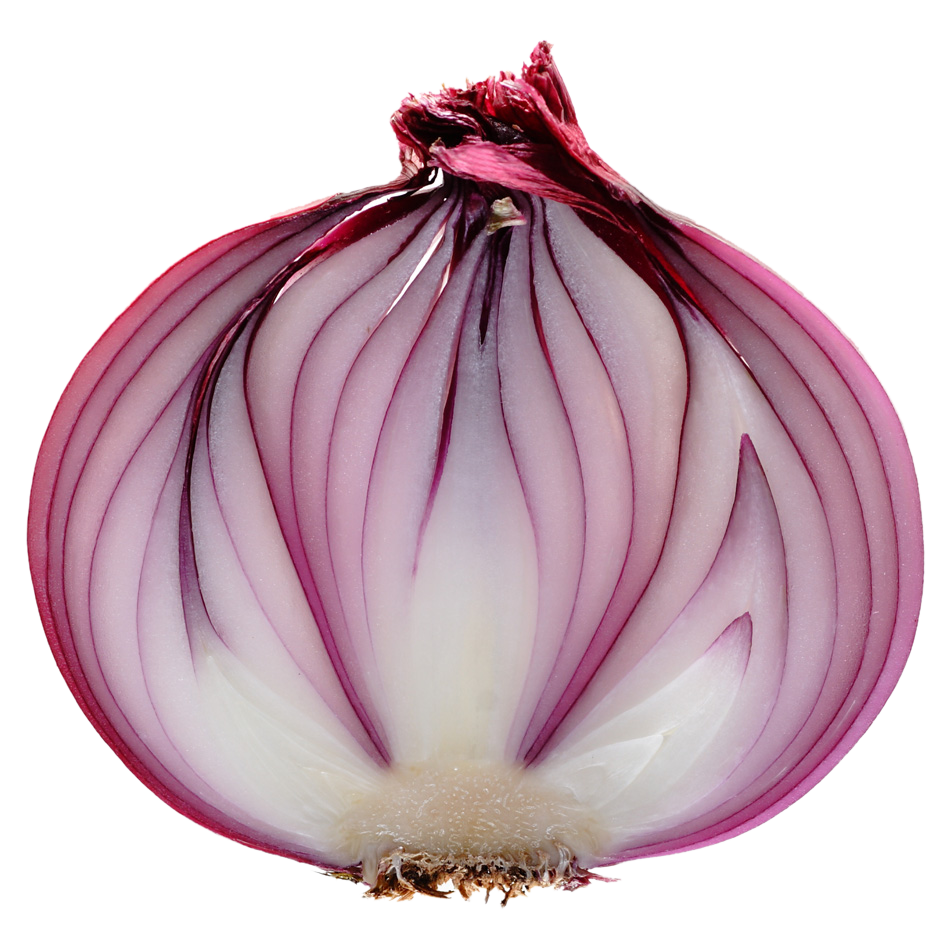 Onion PNG, Onion Transparent Background - FreeIconsPNG