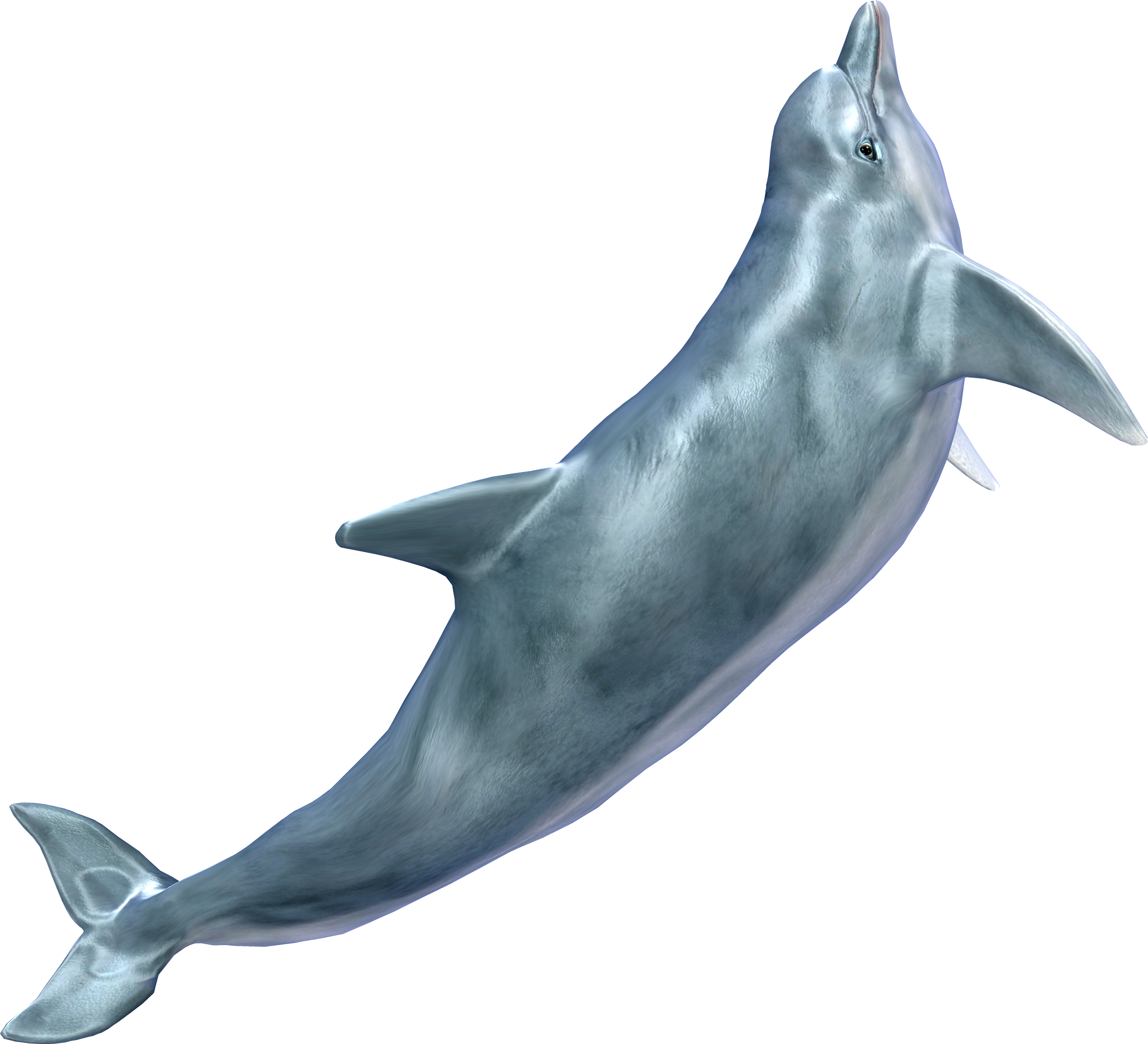 Smart Animal Whale Background Images