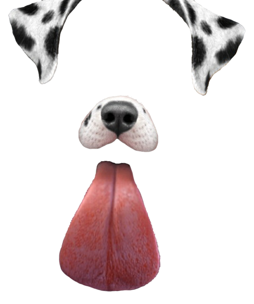 Icon free vectors download snapchat filters png transparent background