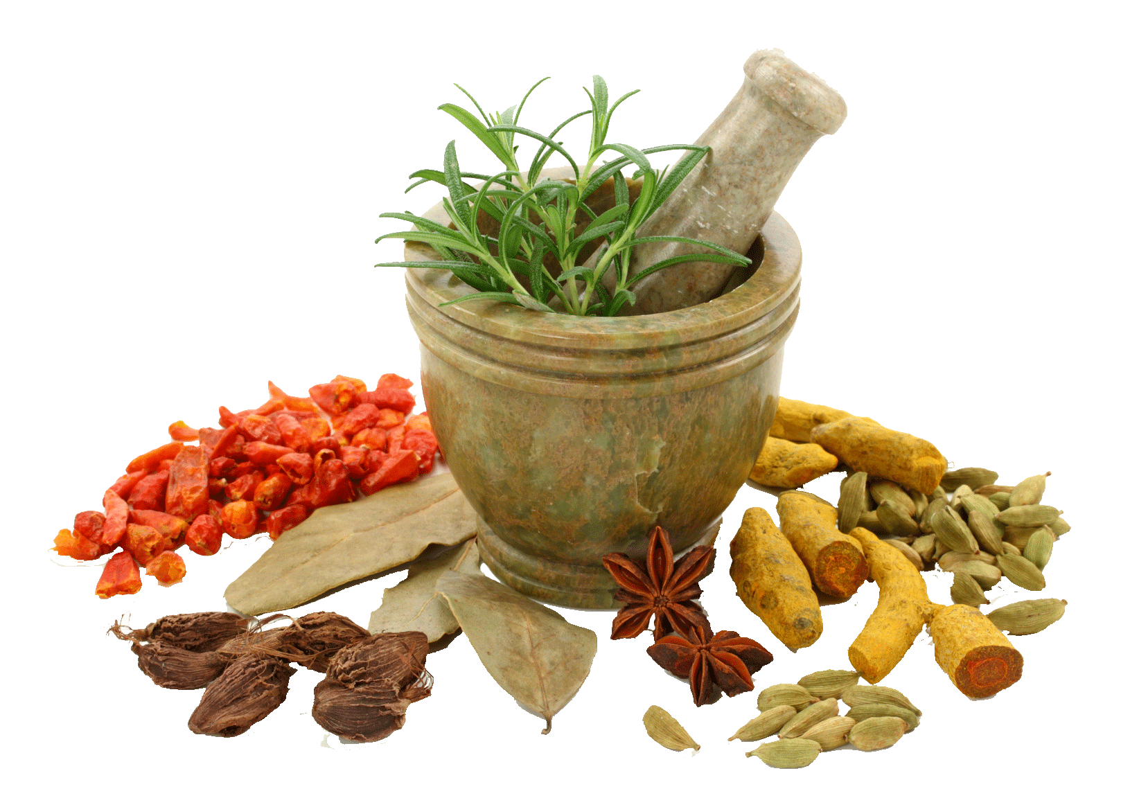 Tea Herbs Spices Png Free Icons And Png Backgrounds | My XXX Hot Girl