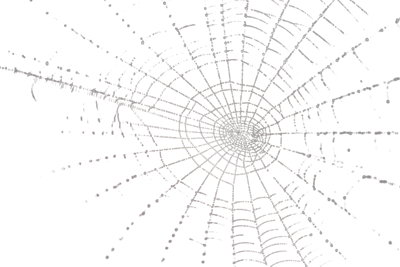 Spider Web PNG, Spider Web Transparent Background ...