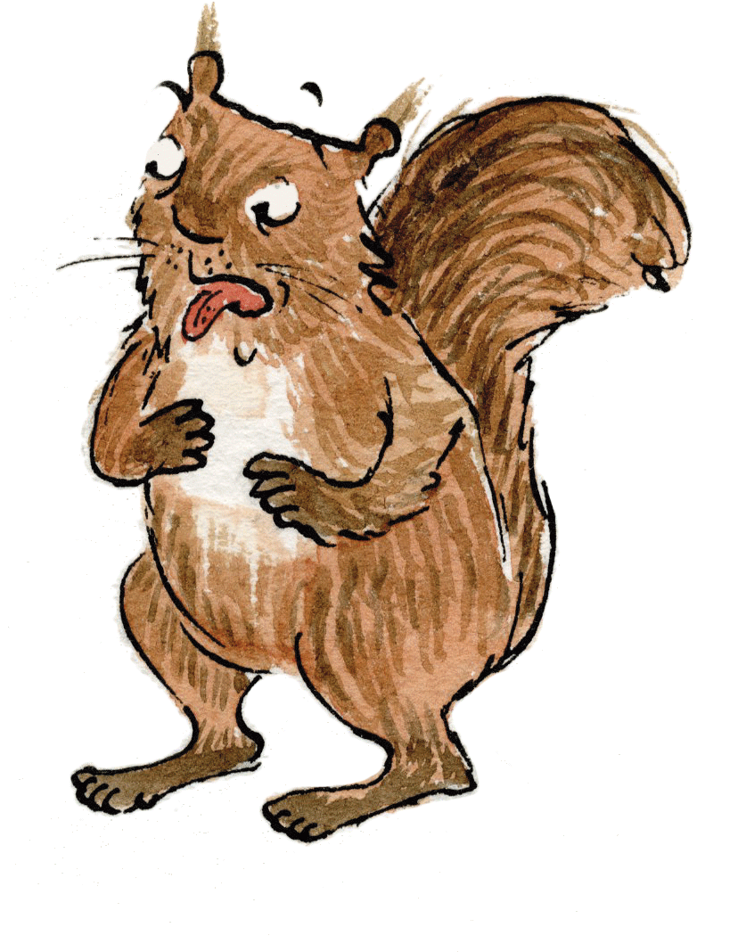 Download And Use Squirrel Png Clipart #20489 - Free Icons and PNG