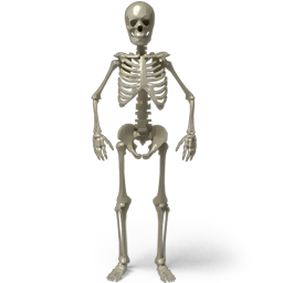 Standing Skeleton Icon