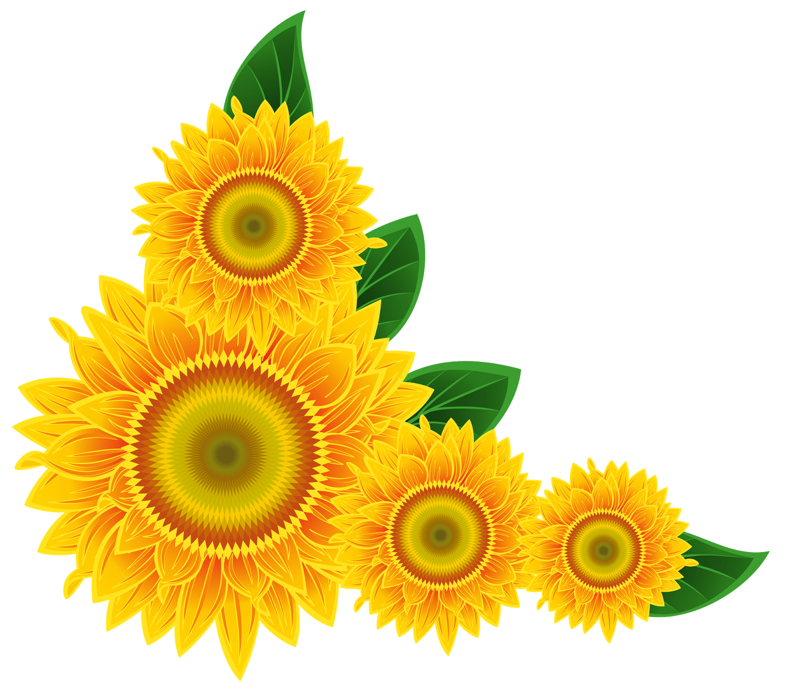 Download Sunflower PNG Image #41030 - Free Icons and PNG Backgrounds