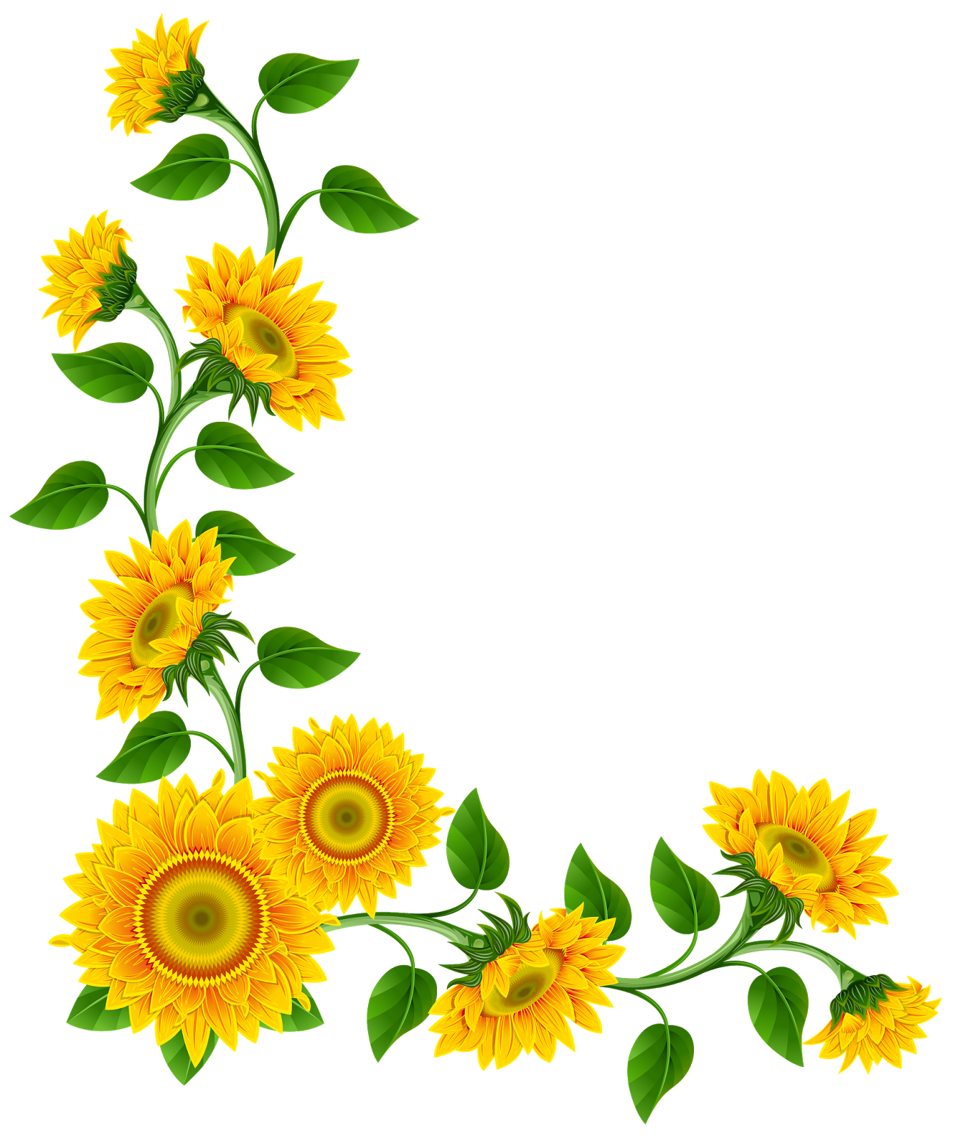 Download Sunflower PNG, Sunflower Transparent Background - FreeIconsPNG