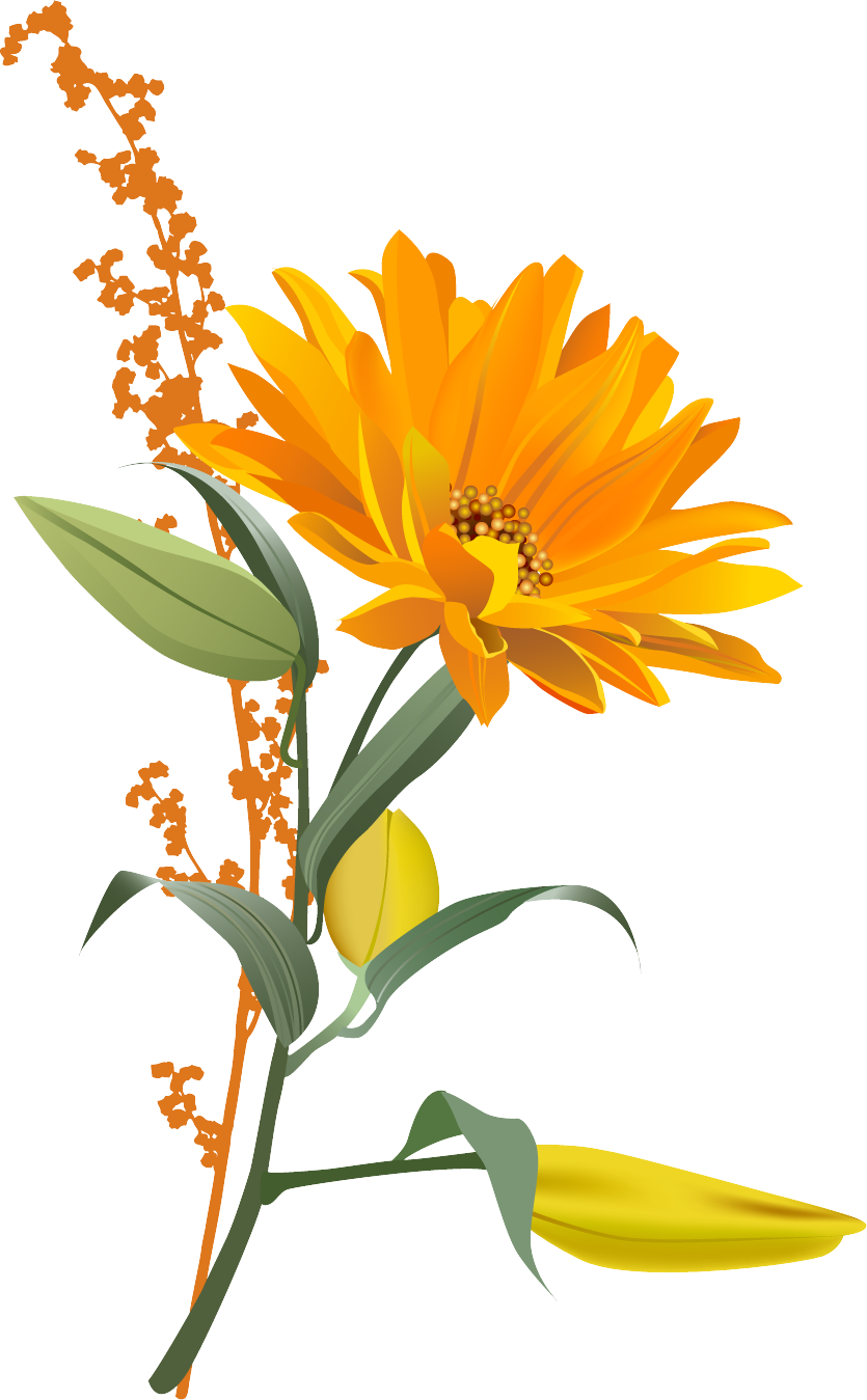 Free Free 127 Transparent Background Sunflower Clipart Sunflower Png SVG PNG EPS DXF File