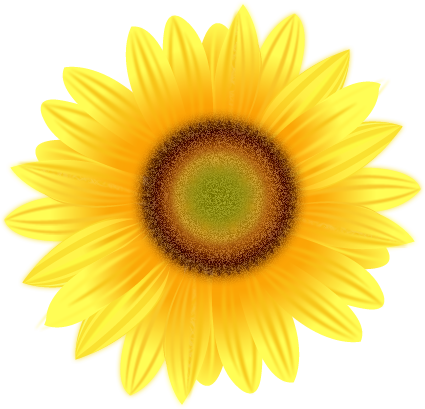 Free Free 129 Clipart Transparent Background Vector Png Sunflower SVG PNG EPS DXF File
