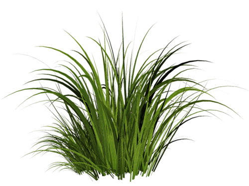 Png Grass Texture - Jonie Wida