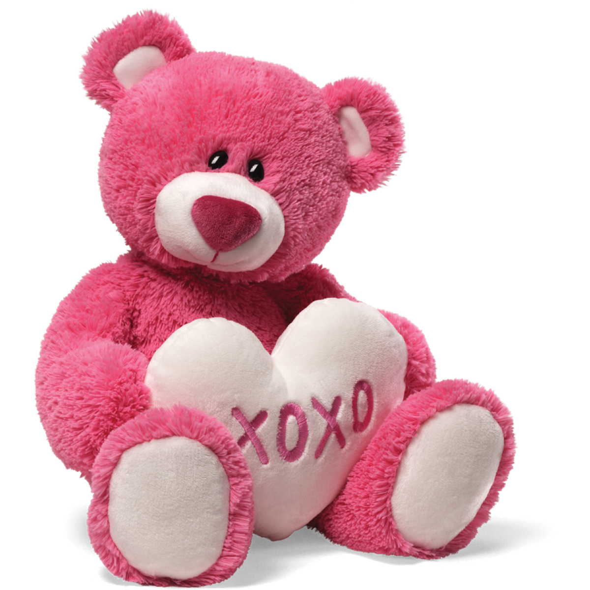 Download Free Teddy Bear Images PNG Transparent Background, Free ...