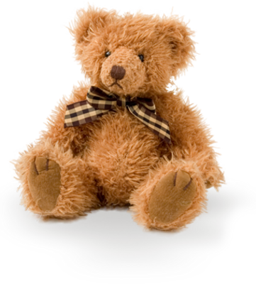 transparent teddy bear