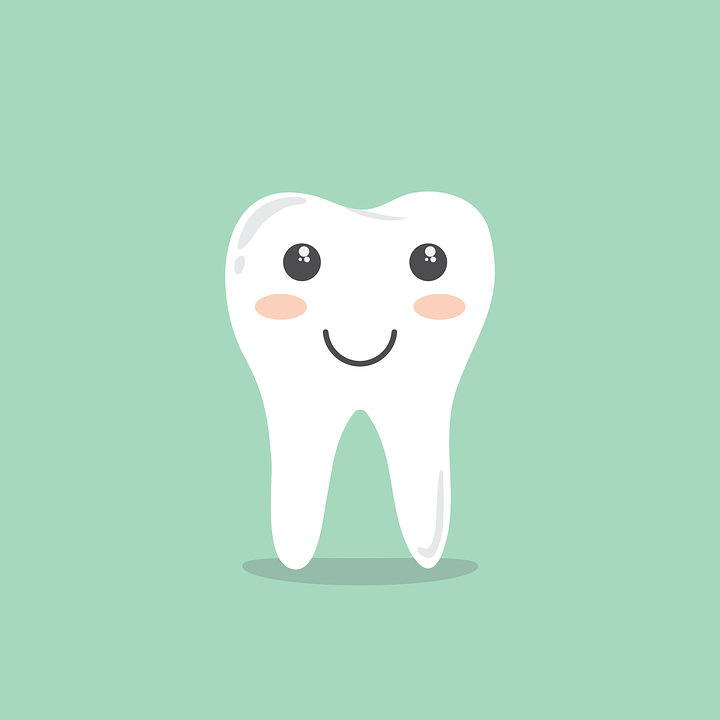 teeth vector png