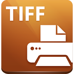 Tiff Icon, Transparent Tiff.PNG Images & Vector - Free Icons and PNG