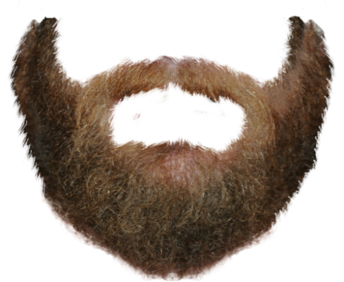 Transparent beard png #44575 - Free Icons and PNG Backgrounds