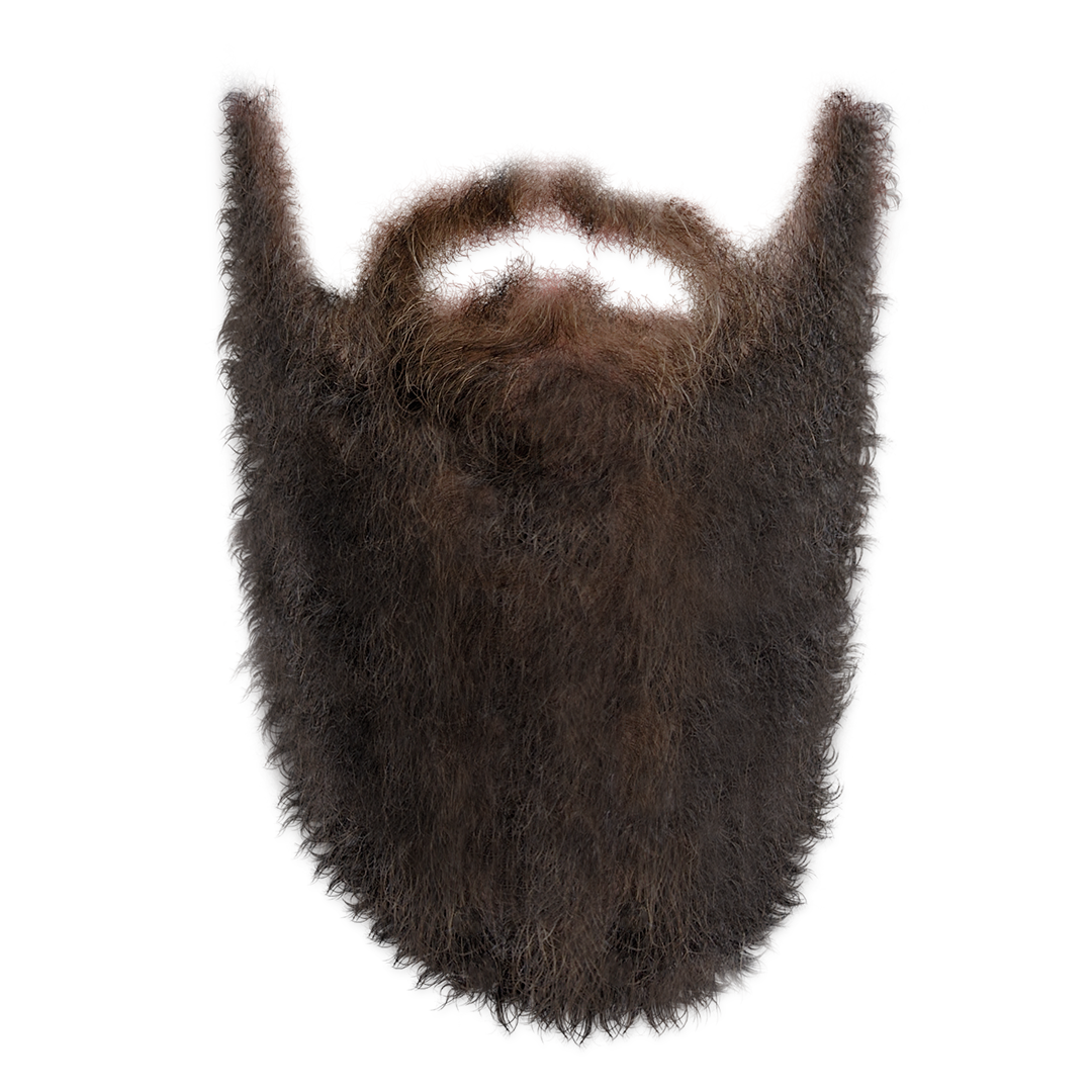 Long Beard PNG Transparent Background, Free Download - FreeIconsPNG