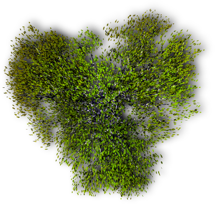 Tree PNG Transparent Background, Free Download #4143 - FreeIconsPNG