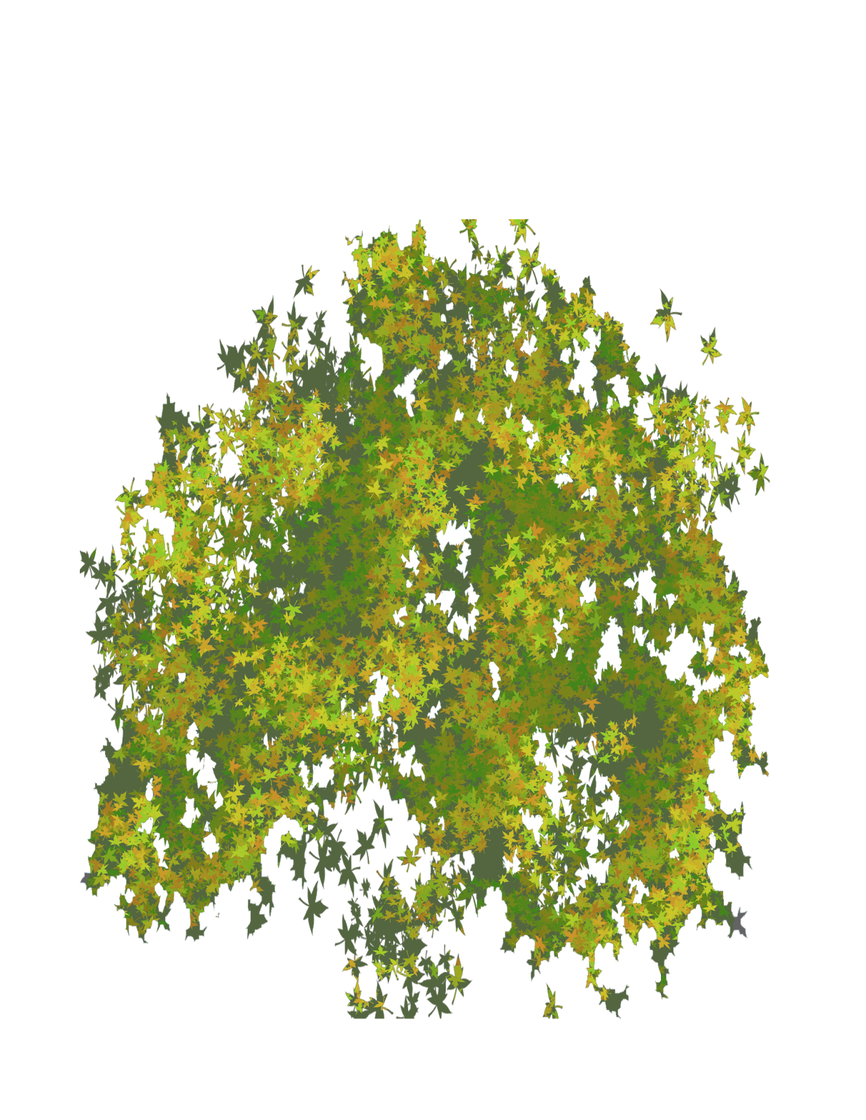 Photo Top Tree PNG