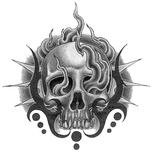 Tribal Skull Tattoos Hd PNG Transparent Background, Free Download #30734 - FreeIconsPNG Tribal Skull Tattoos Hd PNG Transparent Background, Free Download #30734 - FreeIconsPNG