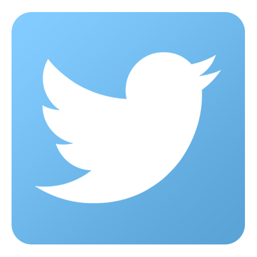 twitter bird logo icon