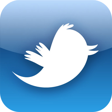 bird, blue, logo twitter, Square