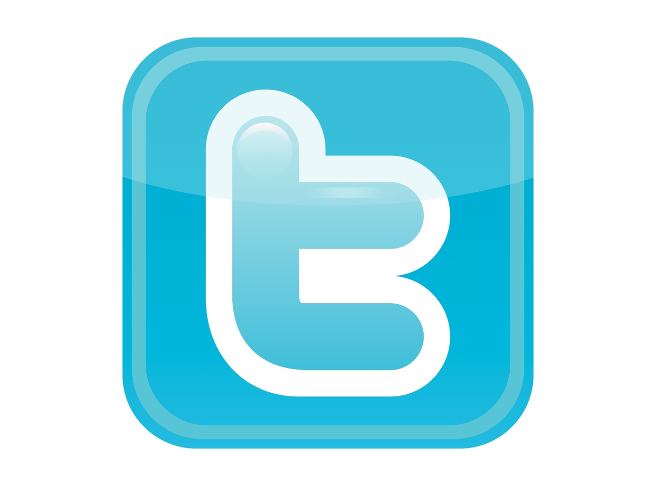 Twitter picture logo hd download